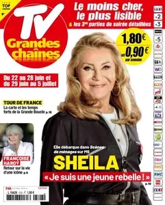 TV Grandes chaînes - 22 Juin 2024