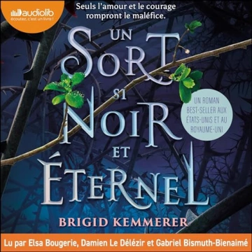 Un sort si noir et éternel 1 Brigid Kemmerer - AudioBooks
