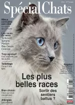 Spécial Chats N°43 – Février-Avril 2019