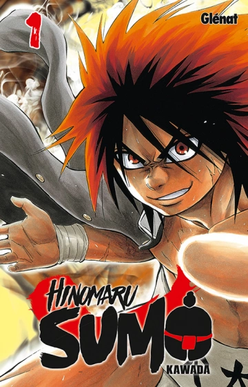 HINOMARU SUMO T01-15