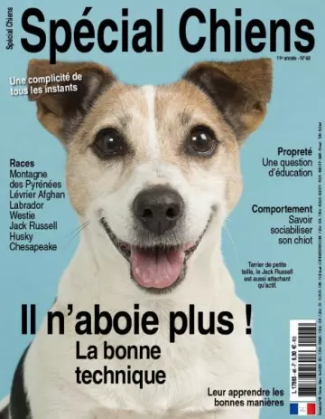 Spécial Chiens - Février-Avril 2020