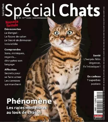 Spécial Chats N°58 – Janvier-Mars 2023