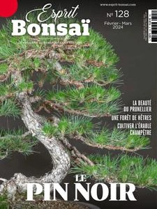 Esprit Bonsai - Février-Mars 2024