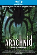 Arachnid