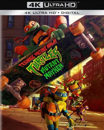 Ninja Turtles: Teenage Years