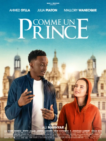 Comme un prince - FRENCH HDRIP