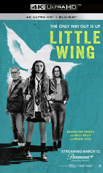 Little Wing