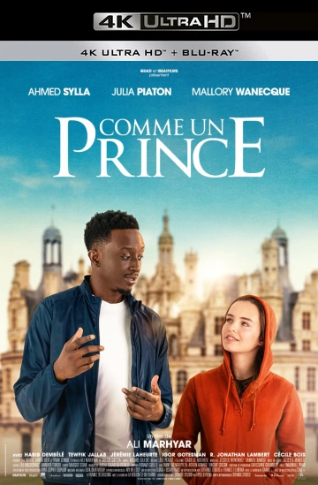 Comme un prince - FRENCH WEB-DL 4K