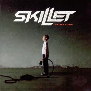 Skillet - Comatose